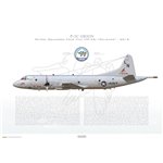 P-3C Orion VP-45 Pelicans, LN214 / 158214 / 2012 - Profile Print