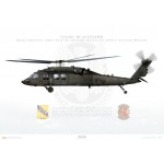 UH-60L Blackhawk, 244th Aviation Brigade, 90th Aviation Support Battalion - Profile Print
