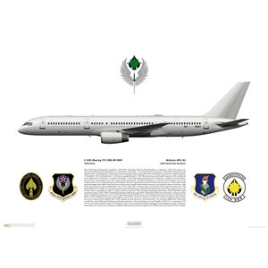 C-32B Gate Keeper, 108th Wing, 150th Special Operations Squadron, 00-9001, McGuire AFB, NJ Squadron Lithograph