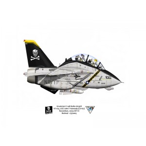 F-14B Tomcat VF-103 Jolly Rogers, AA100 / 162918. CVW-17, USS John F Kennedy CV-67, 2005 Squadron Lithograph