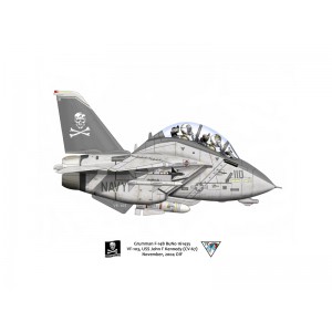 F-14B Tomcat VF-103 Jolly Rogers, AA110 / 161435. CVW-17, USS John F Kennedy CV-67, 2004 Squadron Lithograph