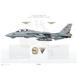 F-14D Tomcat VF-31 Tomcatters, NK200 / 164340 / 1994 - Profile Print