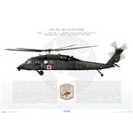 HH-60L Blackhawk, Det. 1, Co. C, 1-169th Aviation Regiment - MEDEVAC, Tennessee Army National Guard - Profile Print
