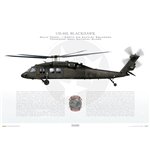 UH-60L Blackhawk, Troop D, 1-230th Air Cavalry Squadron, Tennessee Army National Guard