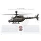OH-58D Kiowa, 1-230th Air Cavalry Regiment, Tennessee Army National Guard - Profile Print