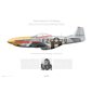 P-51D Mustang "Detroit Miss" - 44-14164 / E2-D, 361st FG, 373rd FS - 1944 - Profile Print