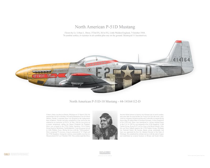 Niet genoeg Auckland Niet meer geldig Aircraft profile print of P-51D Mustang "Detroit Miss" - 44-14164 / E2-D,  361st FG, 373rd FS - 1944 - Profile Print in various s