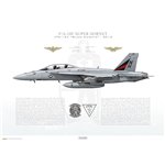F/A-18F Super Hornet VFA-154 Black Knights, NH101 / 166874 / 2016 - Profile Print
