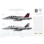 F/A-18F Super Hornet VFA-154 Black Knights, NH100 & NH101 - 2016 - Profile Print