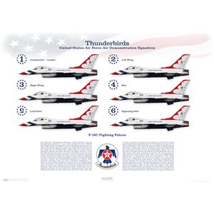 F-16C Fighting Falcon - United States Air Force Air Demonstratoin Squadron "Thunderbirds", 57th Wing, Nellis AFB, NV - Squadron Lithograph