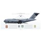 C-17A Globemaster III 60th AMW, 349th AMW, 21st AS, 06-6160 - Profile Print