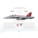 F/A-18F Super Hornet VFA-102 Diamondbacks, NF100 / 165894 / 2006 - Profile Print