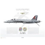 F/A-18E Super Hornet VX-23 Salty Dogs, SD100 / 165537 / 2016 - Profile Print