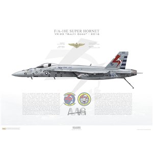 F/A-18E Super Hornet VX-23 Salty Dogs, SD100 / 165537. Naval Test Wing Atlantic, NAS Patuxent River, MD, 2016 - Squadron Lithograph