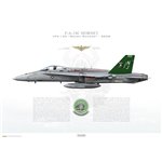 F/A-18C Hornet VFA-125 Rough Raiders, NJ300 / 163726 / 2008 - Profile Print