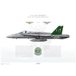 F/A-18C Hornet VFA-125 Rought Raiders, NJ300 / 163726 / 2008 - Profile Print