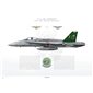 F/A-18C Hornet VFA-125 Rough Raiders, NJ300 / 163726 "NAVY & EAWS Wing" - Profile Print