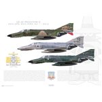 QF-4E Phantom II - Last USAF Phantom Flight, 2016 - Profile Print