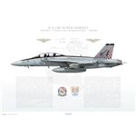 F/A-18F Super Hornet VFA-211 Fighting Checkmates, AB101 / 165801 / 2006 - Profile Print