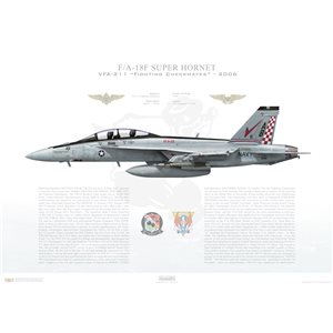 F/A-18F Super Hornet VFA-211 Fighting Checkmates,  AB101 / 165801. CVW-1, USS Enterprise CVN-65, 2006 Squadron Lithograph