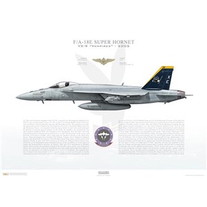 F/A-18E Super Hornet VX-9 Vampires, XE100 / 165780. Naval Air Weapons Station (NAWS) China Lake, CA, 2005 - Squadron Lithograph