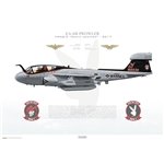 EA-6B Prowler VMAQ-2 Death Jesters, CY75 / 162230 / 2017 - Profile Print