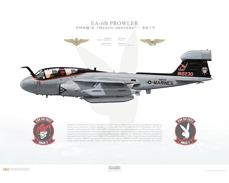 Aircraft Profile Print Of Ea 6b Prowler Vmaq 2 Death Jesters Cy75 162230 2017 Profile Print In Various Sizes