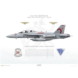 Aircraft Profile Print Of Ea 18g Growler Vaq 132 Scorpions Nl540 166934 2016 Profile Print In Various Sizes
