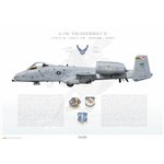 A-10C Thunderbolt II 175th W, 104th FS MD ANG, MD/79-175 / 2007 - Profile Print