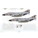 F-4J Phantom II VF-11 Red Rippers, AA100 & AA113 / 1976 - Profile Print
