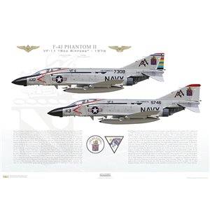 F-4J Phantom II VF-11 Red Rippers, AA100 / 157308 &amp; AA113 / 155746. CVW-17, USS Forrestal CV-59, 1976 Squadron Lithograph