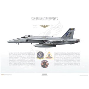 F/A-18E Super Hornet VFA-97 Warhawks, NG300 / 168867. CVW-9, USS John C. Stennis CVN-74, 2017 - Squadron Lithograph