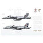 F/A-18E/F Super Hornet VFA-22 Fighting Redcocks, NK100 - 2005 - Profile Print