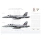 F/A-18E/F Super Hornet VFA-22 Fighting Redcocks, NK100 - 2005 - Profile Print