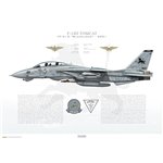 F-14D Tomcat VF-213 Black Lions, NH101 / 164603 / 2001 - Profile Print