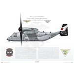 MV-22B Osprey, VMM-163 "Ridge Runners", YP00, 168011 - Profile Print