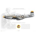 P-51D Mustang "Dorrie R" - 44-63422 / 134, 15th FG, 78th FS - 1945 - Profile Print