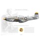 P-51D Mustang "Dorrie R" - 44-63422 / 134, 15th FG, 78th FS "Bushmasters" - 1945 - Profile Print