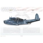 PBM-3D Mariner Patrol Bombing Squadron 216 (VPB-216) - Profile Print