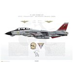 F-14D Tomcat VF-31 Tomcatters, AJ101 / 164603 / Retirement Scheme, 2006 - Profile Print