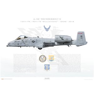 A-10C Thunderbolt II 124th FW, 190th FS Skullbangers, ID/79-0194, Gowen Field ANGB, ID - 2018 Squadron Lithograph