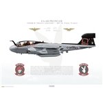 EA-6B Prowler VMAQ-2 Death Jesters, CY02 / 162230 / 2019, Final flight - Profile Print