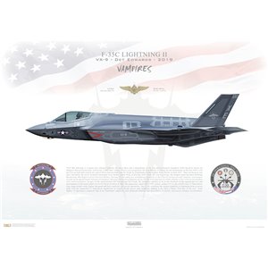 Aircraft profile print of F-35C Lightning II VX-9 Vampires Det 