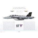F/A-18F Super Hornet VFA-103 Jolly Rogers, AG200 / 168493 / 2020  - Profile Print