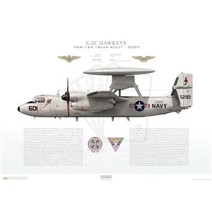 E-2C Hawkeye VAW-124 Bear Aces, AJ601 / 165299. CVW-8, USS Theodore Roosevelt CVN-71 - 2007 Squadron Lithograph