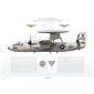 E-2C Hawkeye VAW-124 Bear Aces, AJ601 / 165299 / 2007 - Profile Print