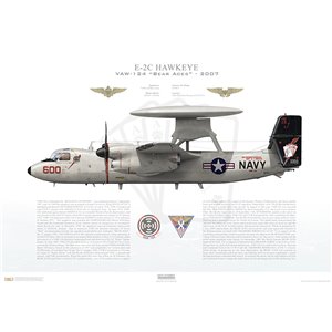 E-2C Hawkeye VAW-124 Bear Aces, AJ600 / 165300. CVW-8, USS Theodore Roosevelt CVN-71 - 2008 Squadron Lithograph