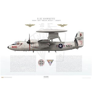 E-2C Hawkeye VAW-124 Bear Aces, AJ600 / 164483. CVW-8, USS Theodore Roosevelt CVN-71 - 2007 Squadron Lithograph