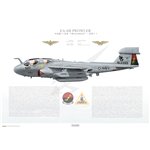 EA-6B Prowler VAQ-133 Wizards, NG500 / 163399 / 2011 - Profile Print