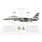 F-14A Tomcat VF-111 Sundowners, NL206 / 160668 / 1981 - Profile Print